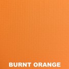 Burnt orange thumbnail